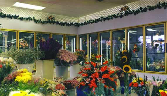 Floral Display